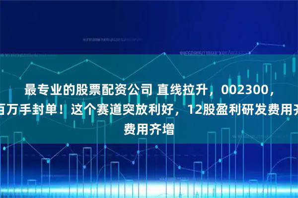 最专业的股票配资公司 直线拉升，002300，超百万手封单！这个赛道突放利好，12股盈利研发费用齐增